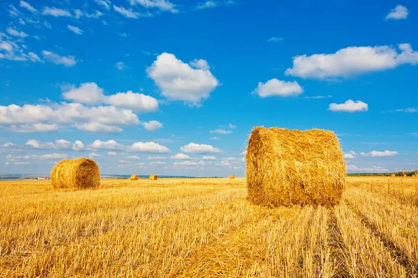 Hay bales on the field — Stock Photo, Image