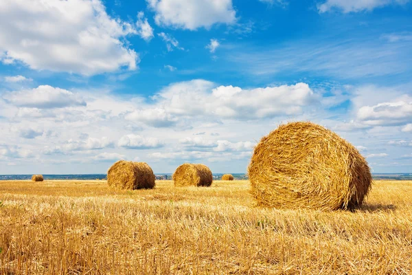 Hooibalen op het veld — Stockfoto