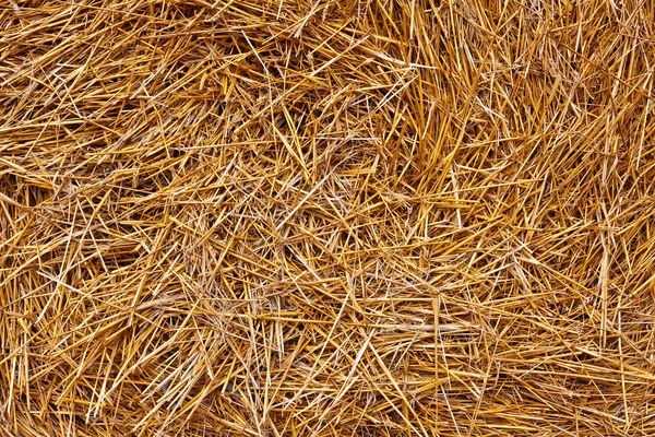 Closeup of hay background — Stock Photo, Image