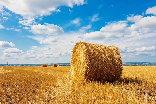 Hooibalen op het veld — Stockfoto