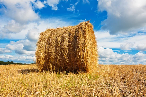 Höbalar på fältet — Stockfoto