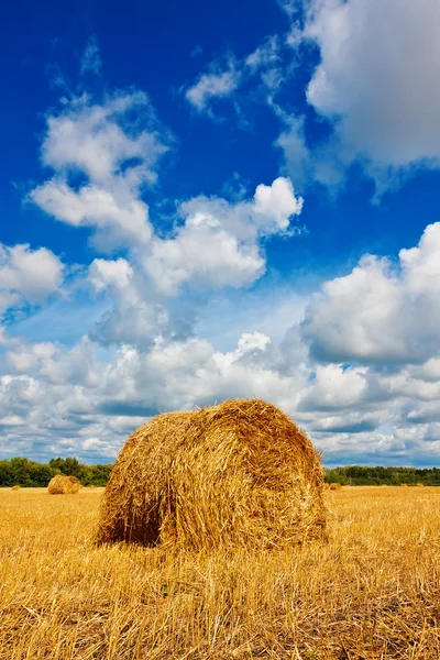 Balle di fieno sul campo — Foto Stock