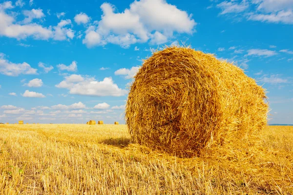 Balla di fieno sul campo — Foto Stock