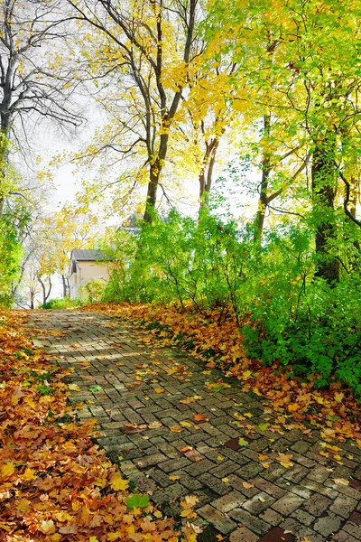 Walkway in autumn park — Stock Photo, Image