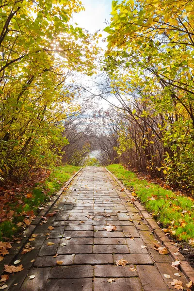 Sonbahar park sokakta — Stok fotoğraf