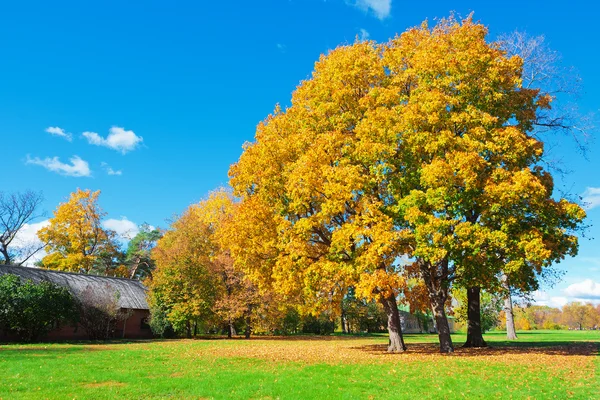 Herfstlandschap — Stockfoto