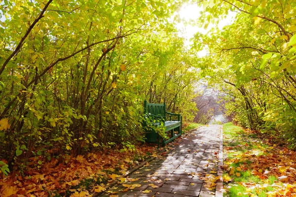 Bänk i höstparken — Stockfoto