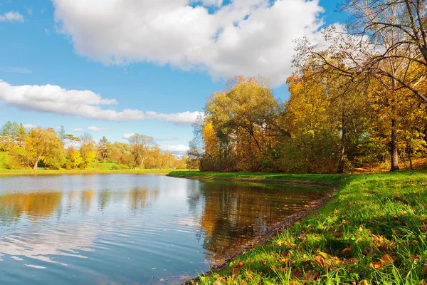 Stagno, alberi autunnali e cielo nuvoloso — Foto Stock