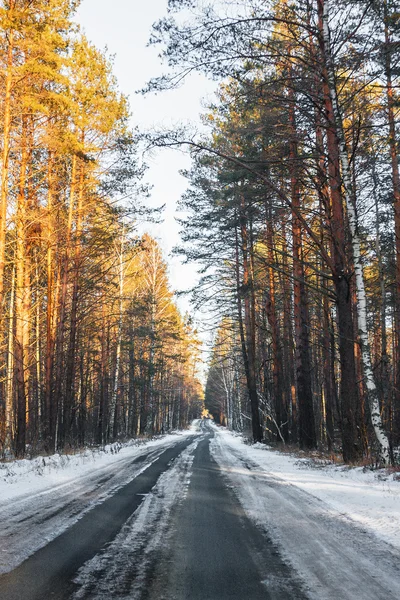 Snowy road — Stock Photo, Image