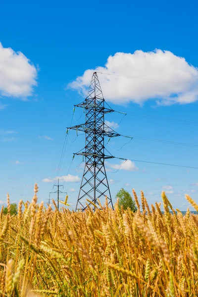 Elektrické rozvody elektrické energie a pšeničné pole v letní den — Stock fotografie