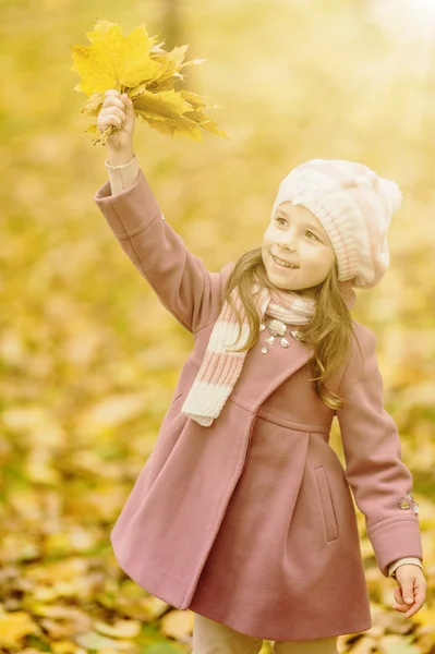 Niña con hojas de arce amarillo — Foto de Stock