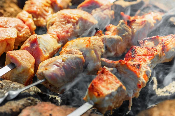 Kebab shish —  Fotos de Stock