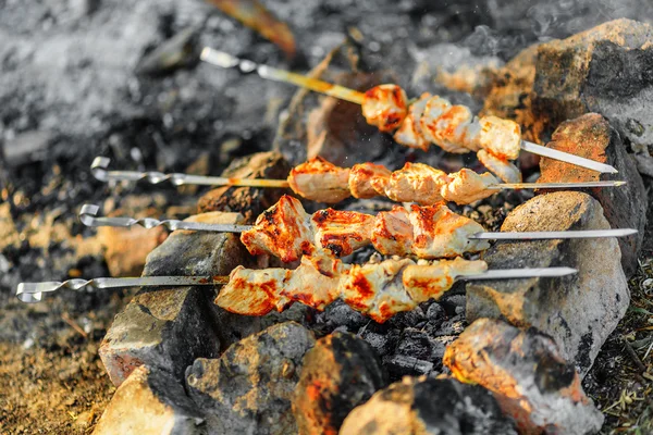 Şiş kebap. — Stok fotoğraf