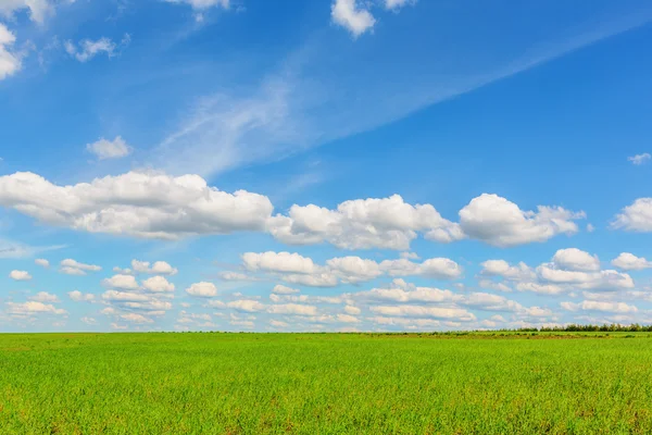 Blue sky over the plain — Stock Photo, Image