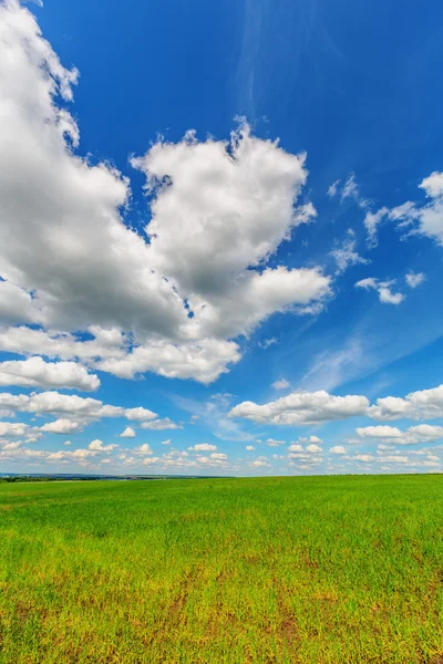 Blauwe hemel over de vlakte — Stockfoto