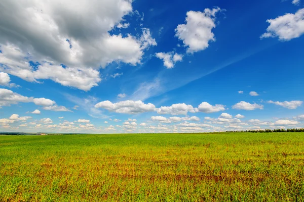 Ciel bleu sur la plaine — Photo