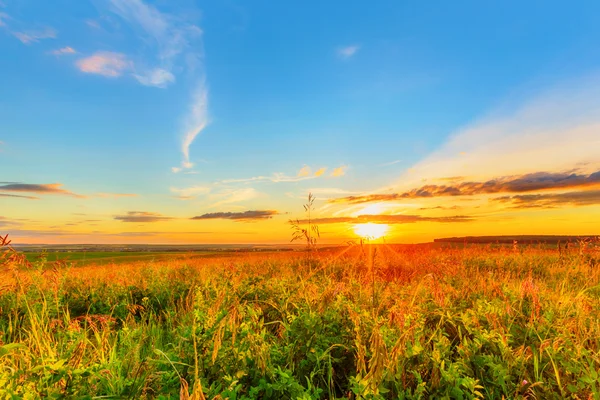 Prairie, ciel du soir et coucher du soleil — Photo
