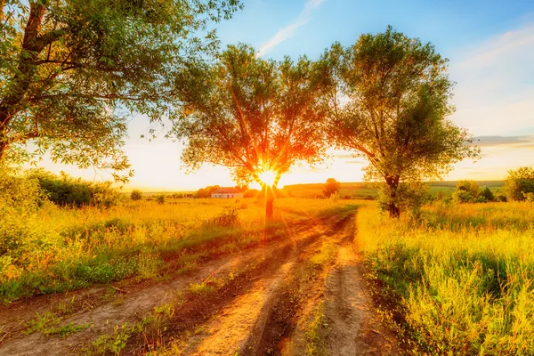 Solnedgång i ryska landsbygden — Stockfoto