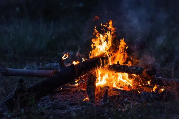 Campfire — Stock Photo, Image