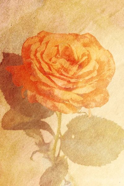 古い紙のビンテージ美花ホリデー カード — ストック写真