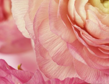 Çiçek Sanat tasarım. Düğün tebrik kartı