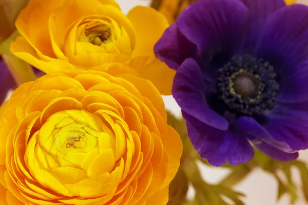 Bloemen kunst close-up. Floral achtergrond — Stockfoto