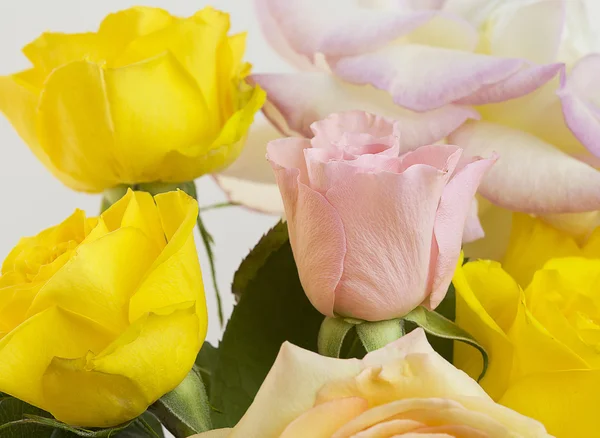 Bloemen kunst close-up. gele en roze rozen. — Stockfoto