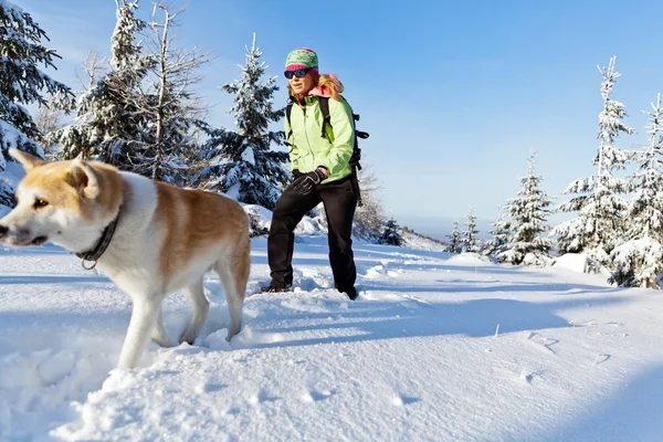 Žena, pěší turistika, v zimě se psem — Stock fotografie
