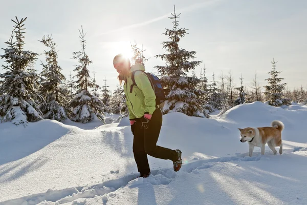 Kobieta piesze wycieczki z psem w zimie — Zdjęcie stockowe