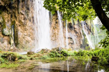 şelale orman içinde. Plitvice Gölleri peyzaj Hırvatistan