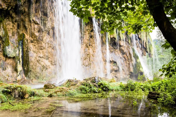 Vattenfall i skogen. Plitvice lakes landskap i Kroatien — Stockfoto