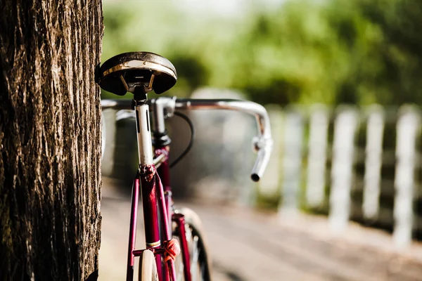 Дорожный велосипед на городской улице — стоковое фото