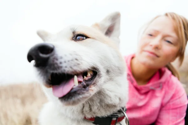 Kvinna och hund akita — Stockfoto