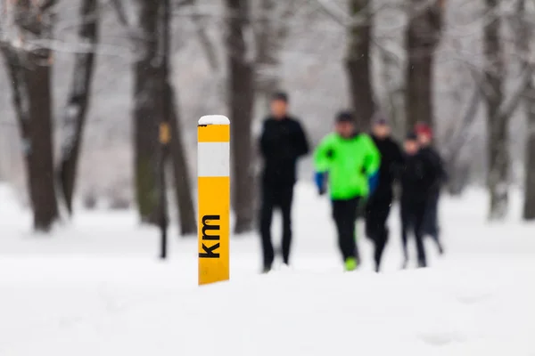 Les gens qui courent dans le parc d'hiver — Photo