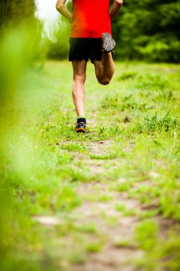 çapraz ülke iz üzerinde çalışan adam