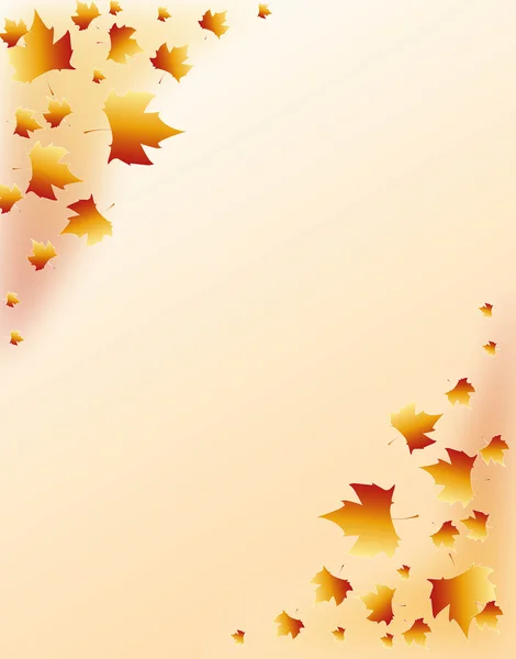 Leaves — Stock Photo, Image