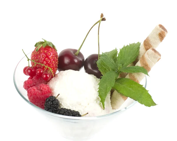 Морозиво з фруктами та м'ятою — стокове фото