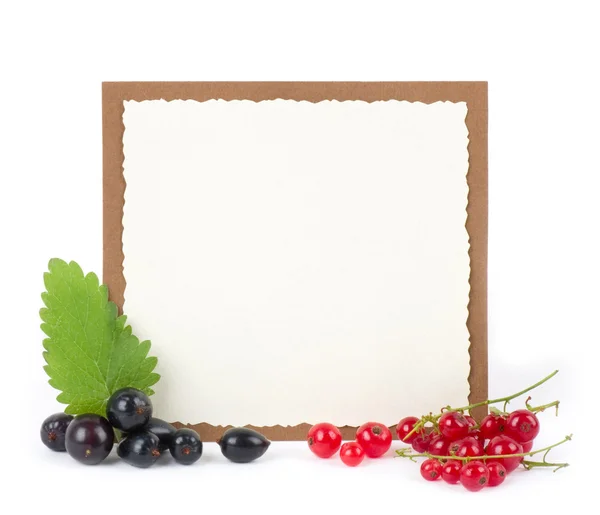 Empty frame and berries, texture — Stock Photo, Image