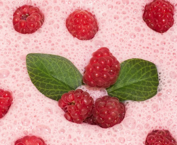 Milkshake with raspberries — Stock Photo, Image
