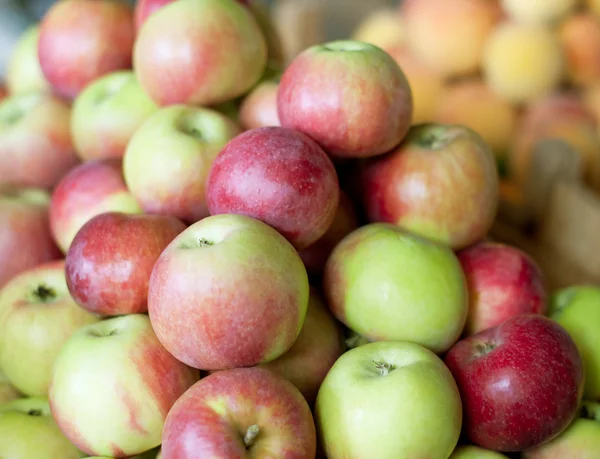 Frische Äpfel — Stockfoto