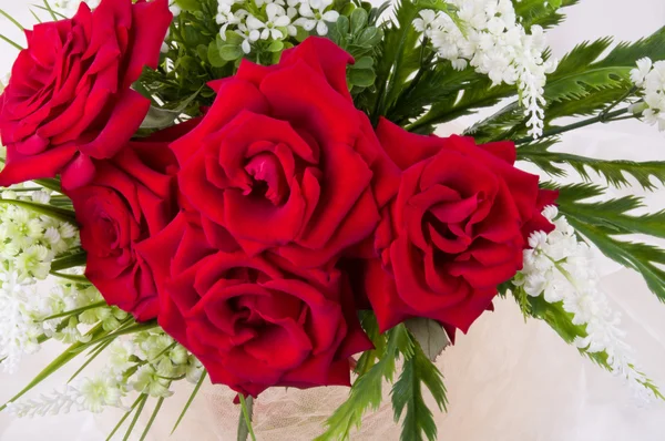 Hermosas rosas rojas — Foto de Stock