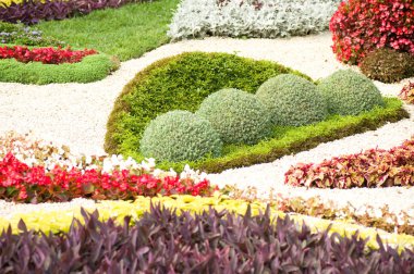 Bahar çiçek bahçesi arka plan