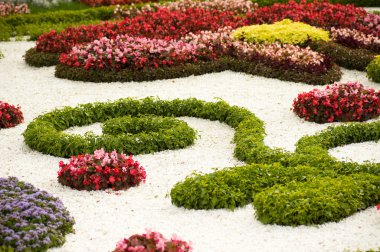 Bahar çiçek bahçesi arka plan