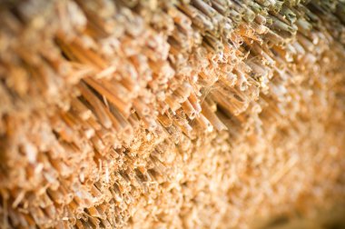 saman doku arka plan