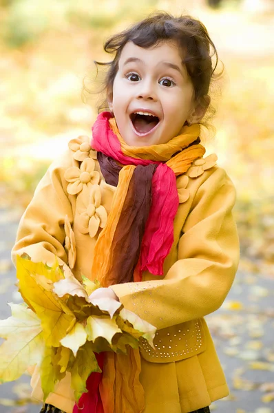 Klein meisje in het herfstpark — Stockfoto