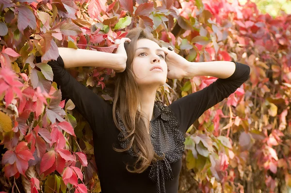 Krásná dívka v podzimní zahradě — Stock fotografie