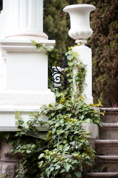 Vintage column in green garden — Zdjęcie stockowe