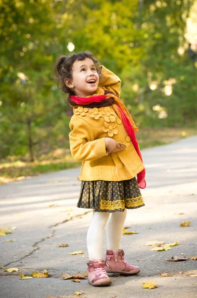 Ragazzina divertente nella foresta autunnale — Foto Stock