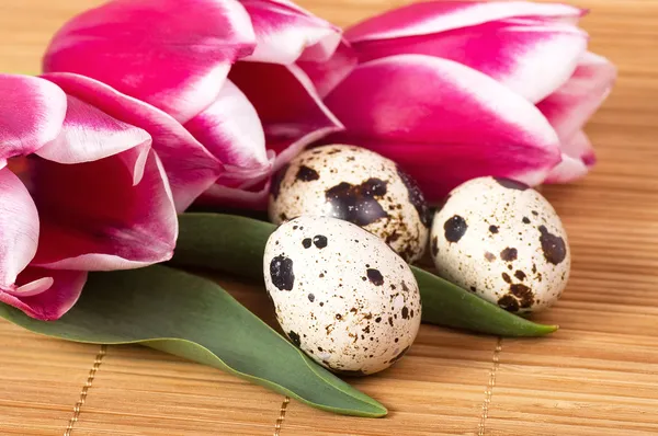 Easter eggs and spring flowers — Stock Photo, Image