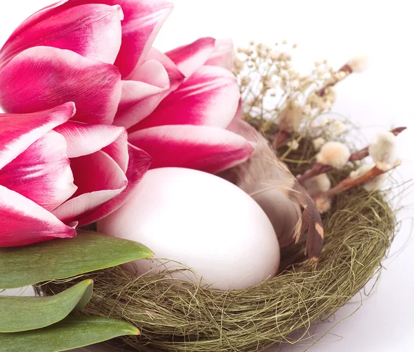 Ostereier und Frühlingsblumen — Stockfoto